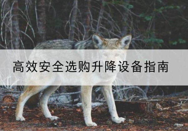 龙亭升降货梯厂家推荐-*安全选购升降设备指南