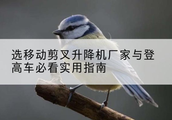 龙亭电动升降机厂家-选移动剪叉升降机厂家与登高车必看实用指南